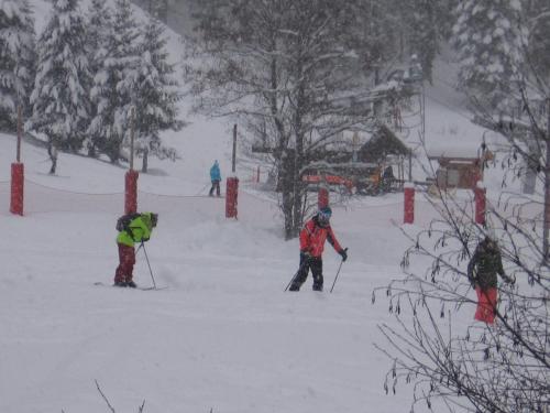 Chalet Jonquille - image 14