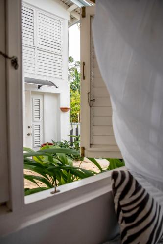 Vista Exterior, LF Jungle Retreat in Port Antonio