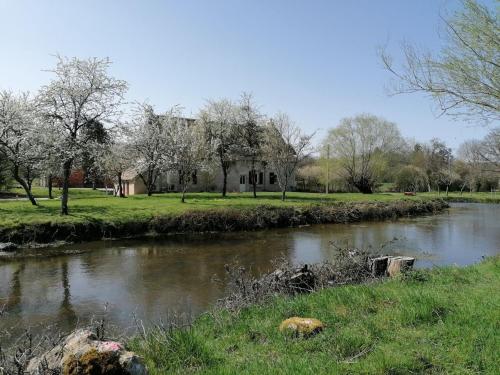Gîte de charme en forêt: 4/6 pers, nature, détente, parking, animaux acceptés - FR-1-590-529 (Gite de charme en foret: 4/6 pers, nature, detente, parking, animaux acceptes - FR-1-590-529) in Saint-Firmin-sur-Loire