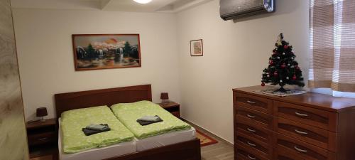 Tatran - Nika obrázok