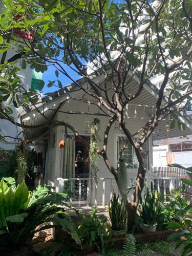 Dream Garden Villa Hotel Night Bazaar ChiangMai Room Type - Small Double Room