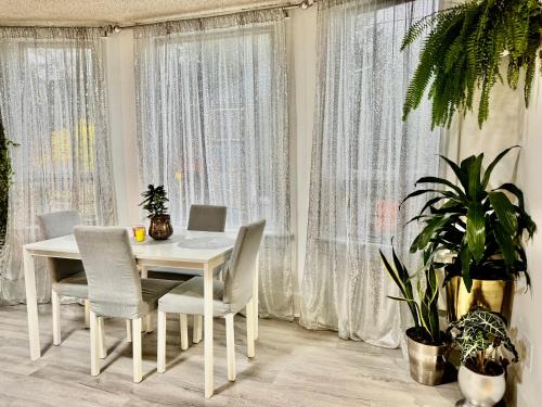 Seattle Home with 2 bedrooms a King bed Queen bed and an Extra Sofa Bed Located 10 minutes from SeaTac Airport and 20 minutes from Downtown Seattle Home with 2 bedrooms a King bed Queen bed and an Extra Sofa Bed Located 10 minutes from SeaTac Airport and 20 minutes from Downtown