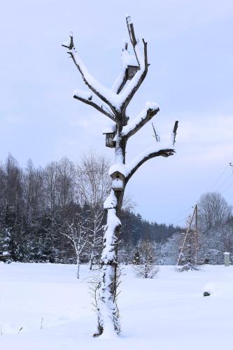 Viesu mājas Briedīši