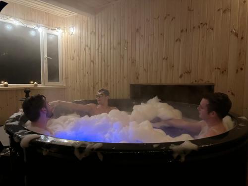 Гірська вершина in Slavs'ke