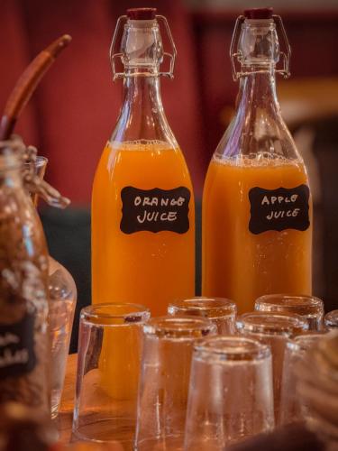 The Sheep and Penguin