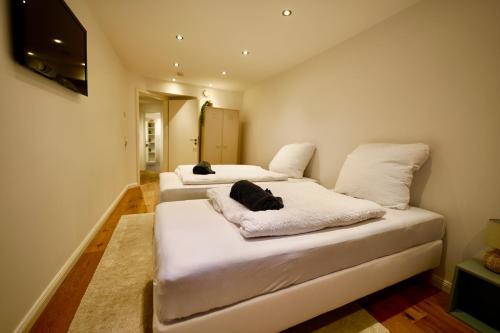 Central Maisonette Loft near Cologne Cathedral, Kolín nad Rýnem (fotografie 6)
