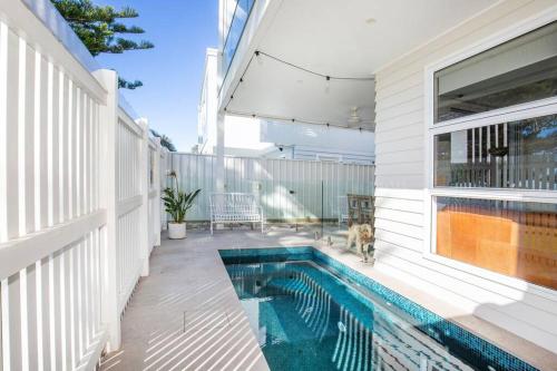 LegaSea Lodge - Pet Friendly Beachfront Plunge Pool in Shellharbour
