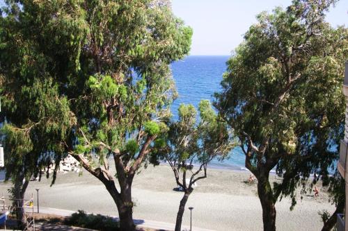 Freshness, Limassol (Foto 2)