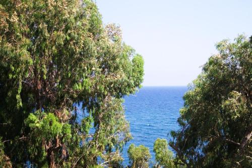 Freshness, Limassol (Foto 7)