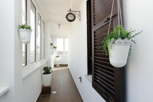 Bright Vatican 2 bedroom Apartment, Rome (photo 6)