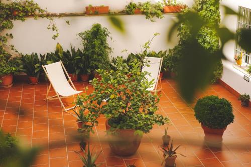 Apartamentos entreRíos - image 12