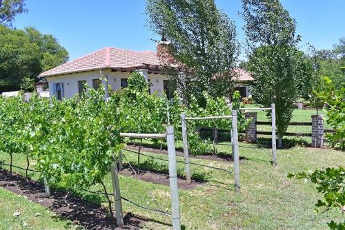 House 41 at Pont de Val, Parys (fotografie 7)
