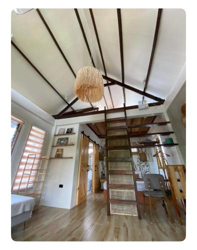 La Casa Sofia, Surigao (foto 7)