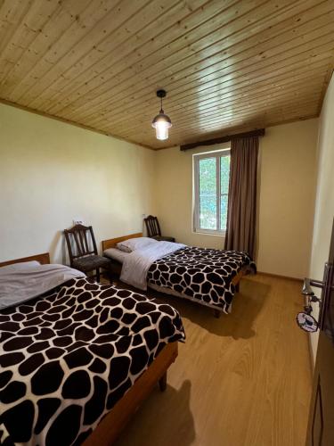 Shorena's Homestay in Bagvdanari