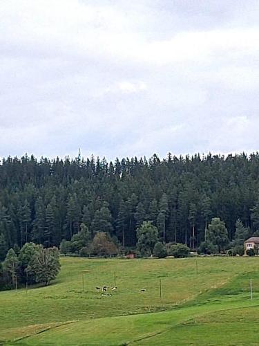Apkārtne, Blackjulie Ferienwohnung im Schwarzwald mit Balkon und Parkplatz ruhig in St. Georgen