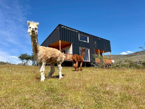 . Cabañas Canelita Cochrane