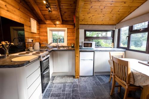 Kitchen, Thistledonia in Trawsfynydd