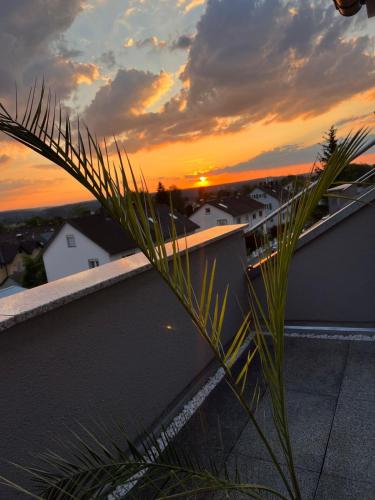 Modernes Penthouse mit Panorama im Herzen von Villingen
