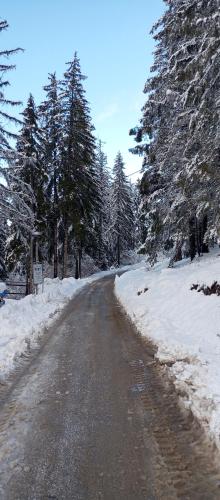 Ruža Vetrova 4 Ruža Vetrova 4