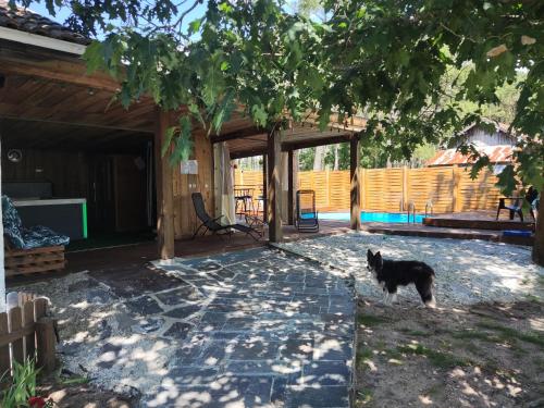 Chambres d'hotes Les sables Blancs Chambres d'hotes Les sables Blancs