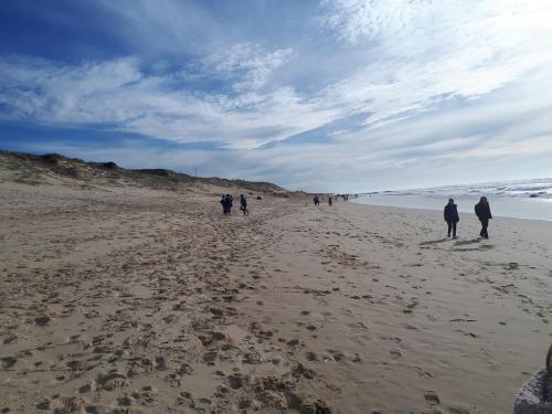 Strand, Chambres d'hotes Les sables Blancs in St Julien En Born