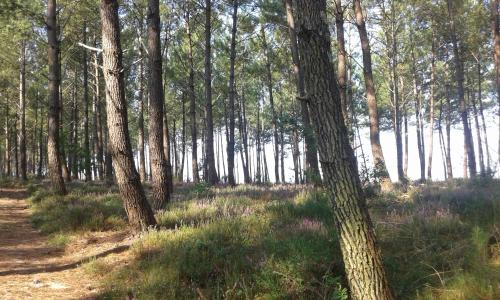 Chambres d'hotes Les sables Blancs Chambres d'hotes Les sables Blancs