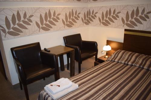 Hotel Orlik