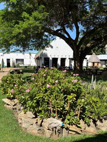 花园, The Halfway House, Headlands in 鲁瓦