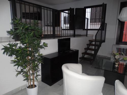 Málaga Apartamentos - Jinetes, 13, Málaga (Foto 7)