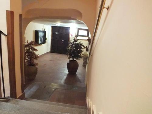 カンポバッソ Bilocale in Palazzo del XVI Secolo 3つ星 シングルルーム 眺望