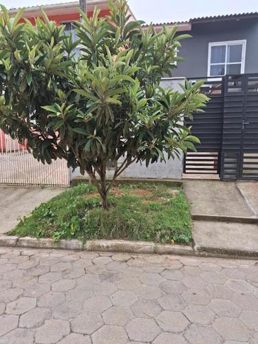 Recanto das gérberas