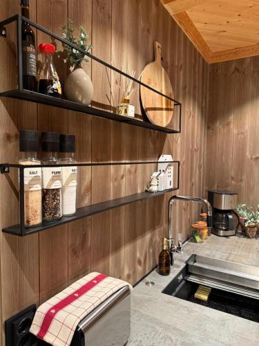 Trysil Moderna Lodge 4