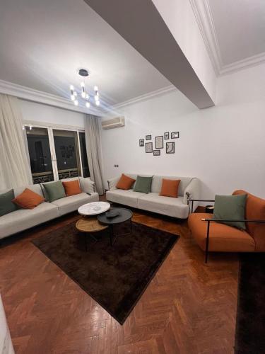 Luxury apartment on the Nile