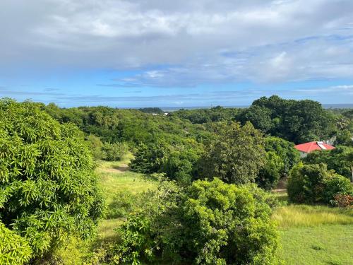 Lingkungan sekitar, La maison Durivage vue mer proche plage et centre Sainte Anne in Sainte Anne
