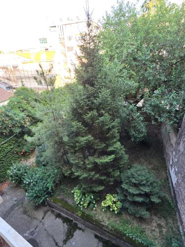 Apartment image 10