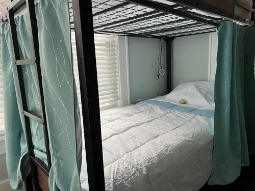 MyCrib Houston Hostel - image 6