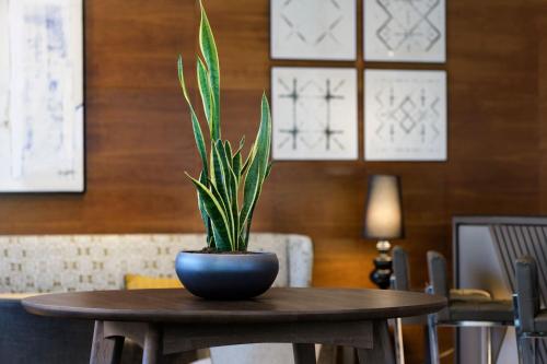AC Hotel by Marriott Guadalajara Spain - image 12