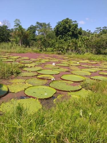 A környék, Amazon Nativo Lodge in Indiana