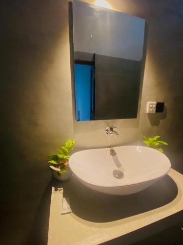 Superior Double Room image 10