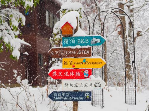 Snowfall Meteor 飛雪流星