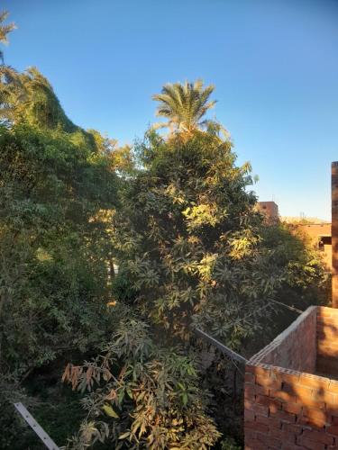 Kashta Nubian Guest Houst Room Type - Standard Double or Twin Room