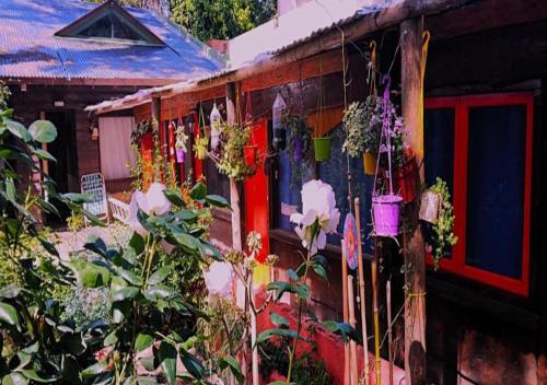 Garden, Hostel Mi Lugar near Rotonda Aeropuerto Park
