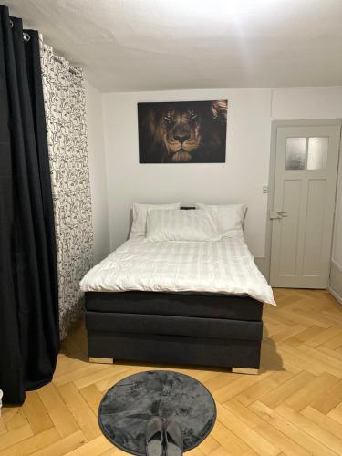 Fernando in La Chaux-de-Fonds