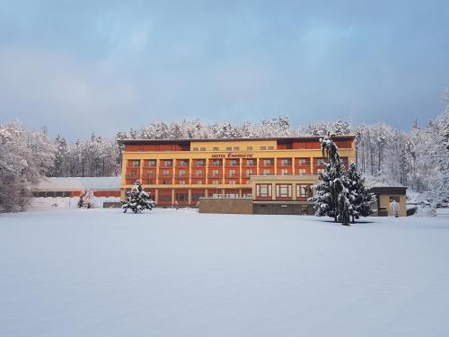 Wellness Resort Energetic - Hotel - Rožnov pod Radhoštěm