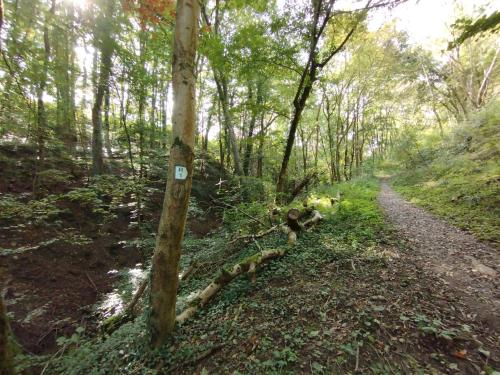 Sport és szabadidő, gemütliches Ferienhaus mit Kamin - Holiday and Nature Wallendorf (gemutliches Ferienhaus mit Kamin - Holiday and Nature Wallendorf) in Wallendorf