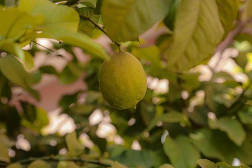 Elhachimi Host House garage included FREE air conditioning Elhachimi Host House garage included FREE air conditioning