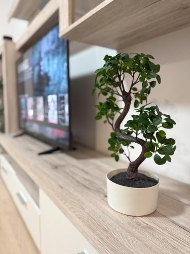 Flexible Self-Check-In Studio with Parking & Netflix, Zagabria