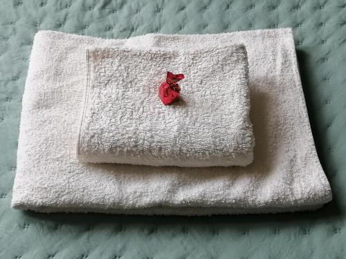 Center Apartment Center Apartment