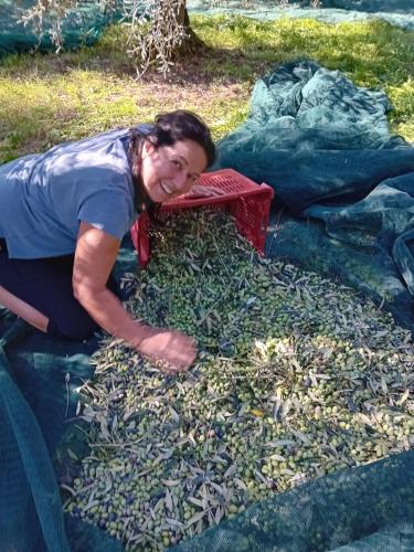 Agriturismo Circugnano