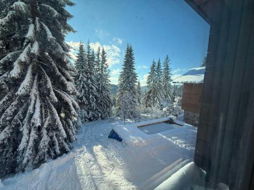 Apartmany Petr Horni Misecky - Spindleruv Mlyn in Vítkovice